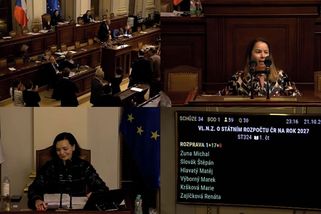 Ševčík hloupě urážel Šebelovou. Noční jednání Sněmovny skončilo roztržkou - Novinky